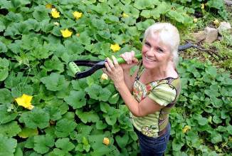 Louise Orr in her vege garden created by the Transition Kenmore permablitz (Photo: Westside News)
